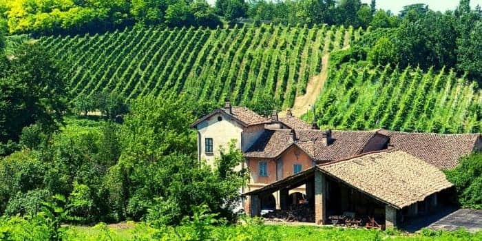 Lombardy, you don't expect: the Oltrepo' Pavese wine routes